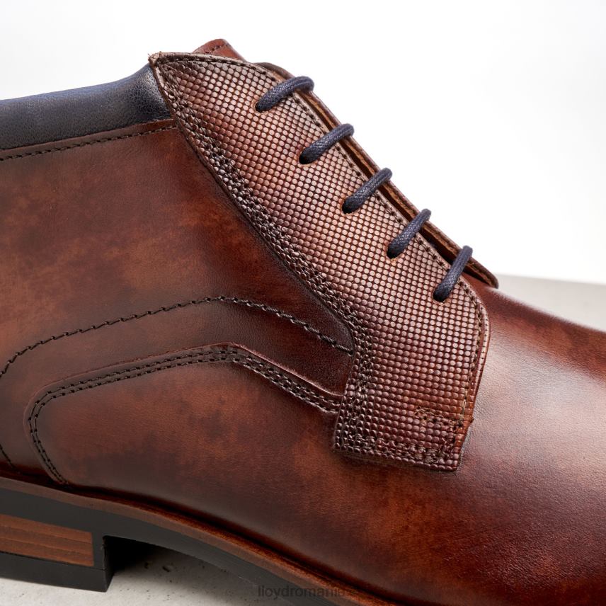 pantofi LLOYD anul maro bărbați 68260542