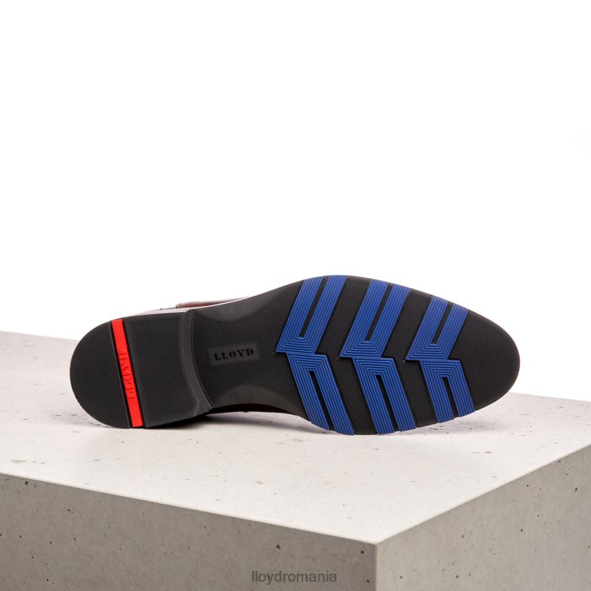 pantofi LLOYD anul maro bărbați 68260542