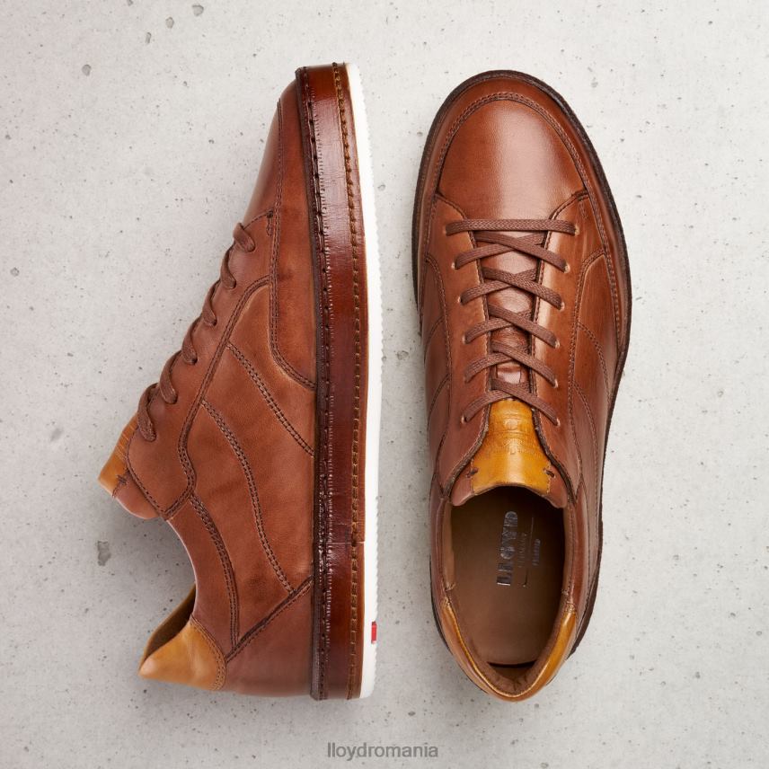 pantofi LLOYD arsură neagră maro bărbați 68260440