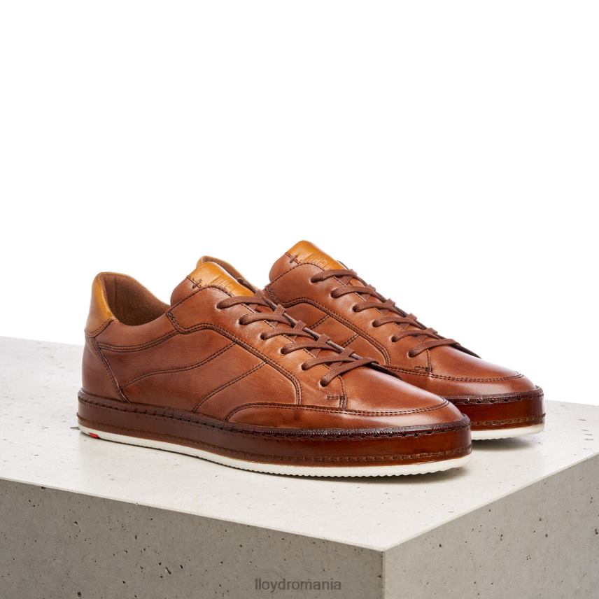 pantofi LLOYD arsură neagră maro bărbați 68260440