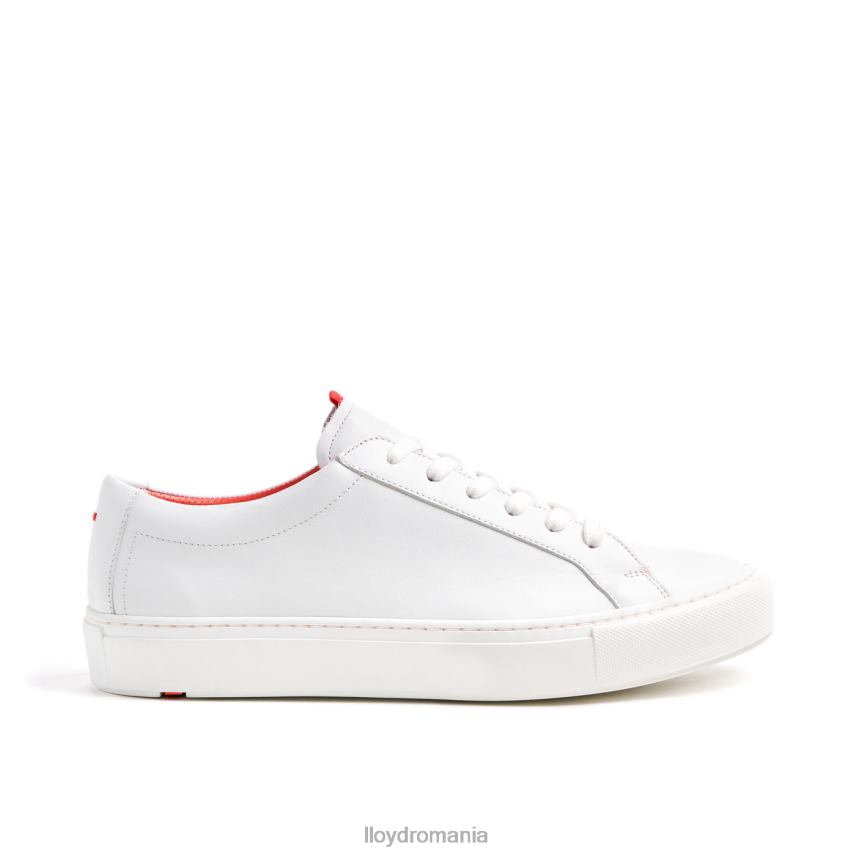 pantofi LLOYD austin alb bărbați 68260348