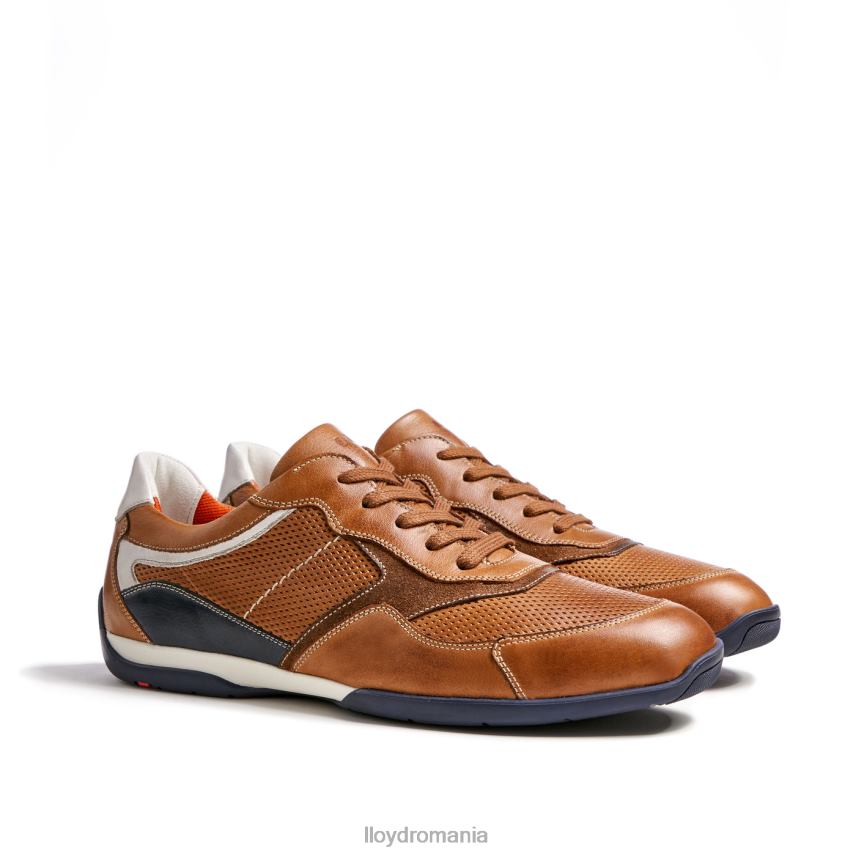 pantofi LLOYD baltimore maro bărbați 68260287