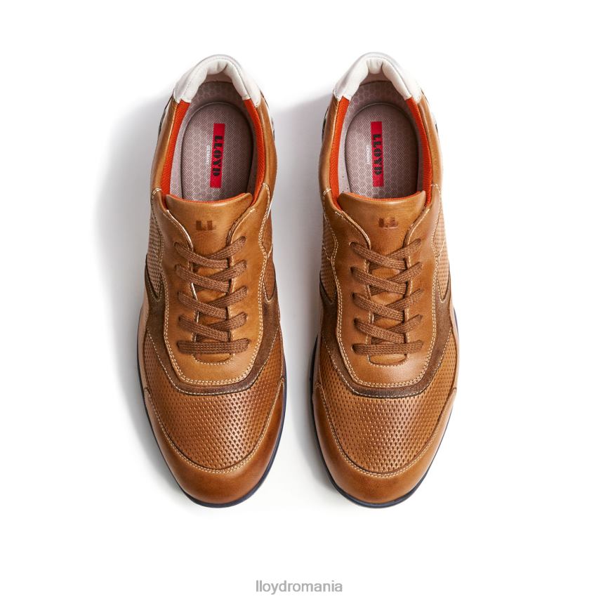 pantofi LLOYD baltimore maro bărbați 68260287