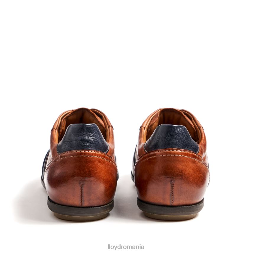 pantofi LLOYD barett maro bărbați 68260354