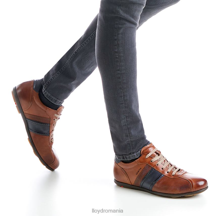 pantofi LLOYD barett maro bărbați 68260354