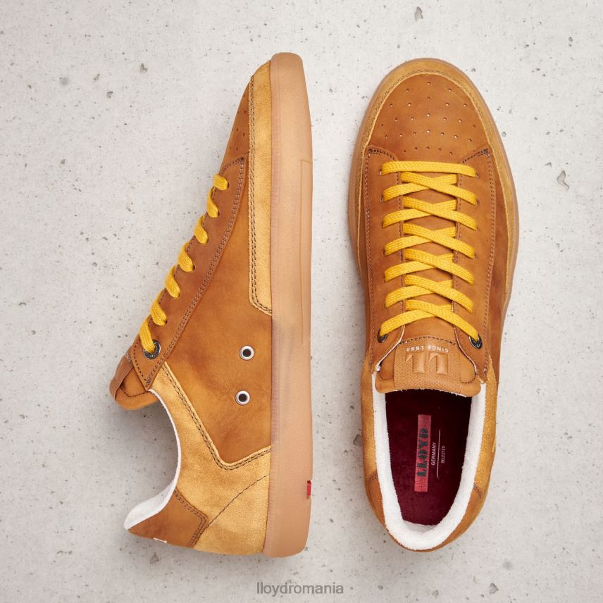 pantofi LLOYD baron maro bărbați 68260427