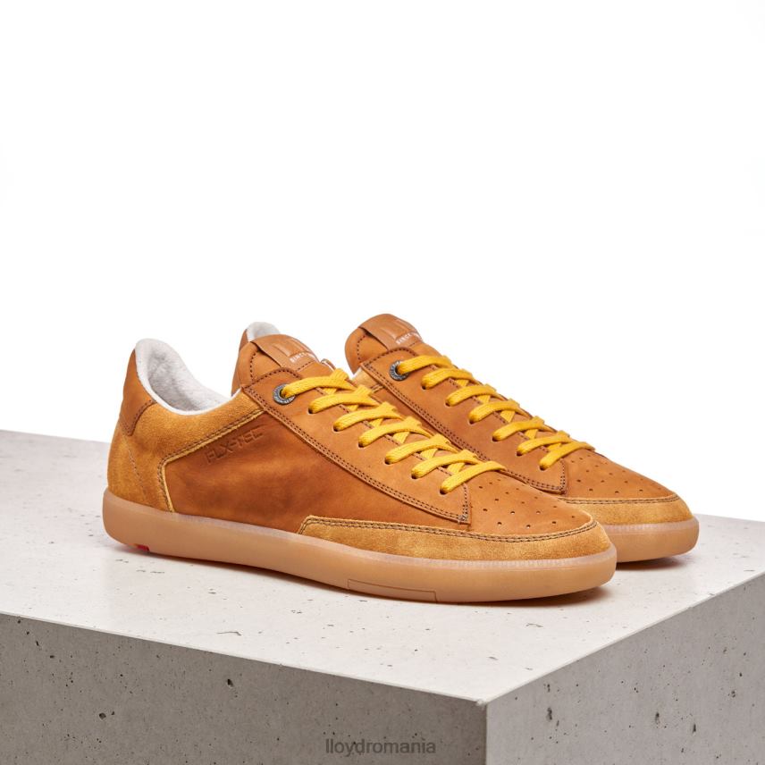 pantofi LLOYD baron maro bărbați 68260427