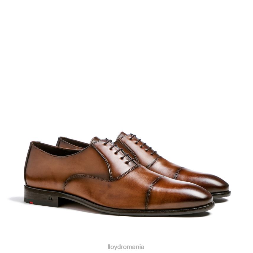 pantofi LLOYD bazin maro bărbați 682601