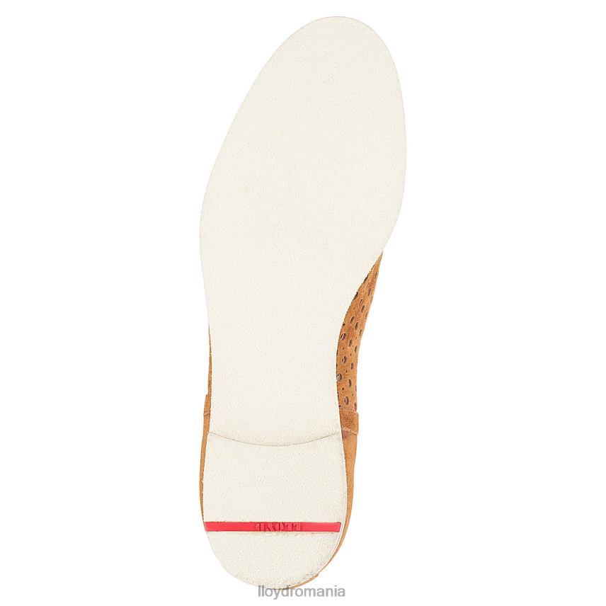 pantofi LLOYD botine chelsea maro femei 68260993