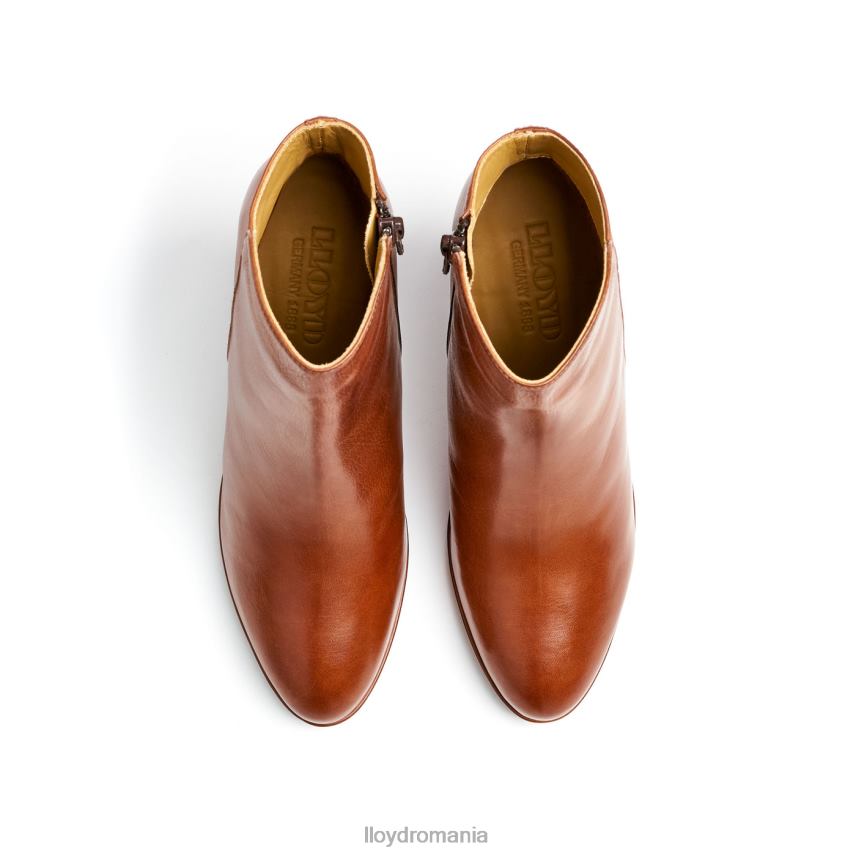 pantofi LLOYD botine din piele maro femei 68260921