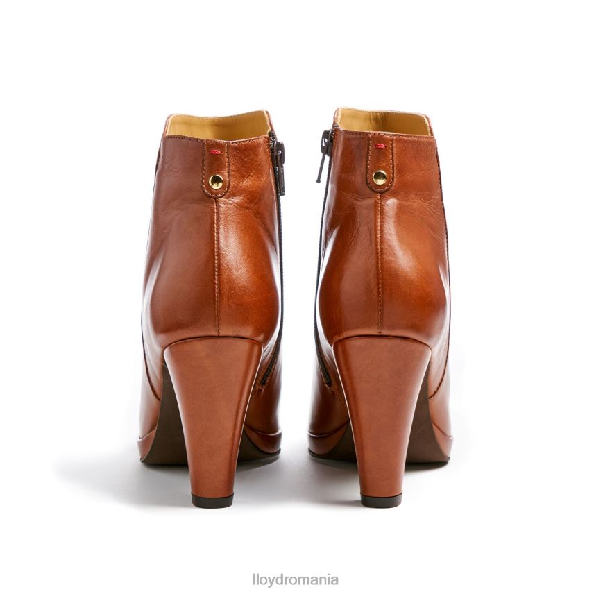 pantofi LLOYD botine din piele maro femei 68260921