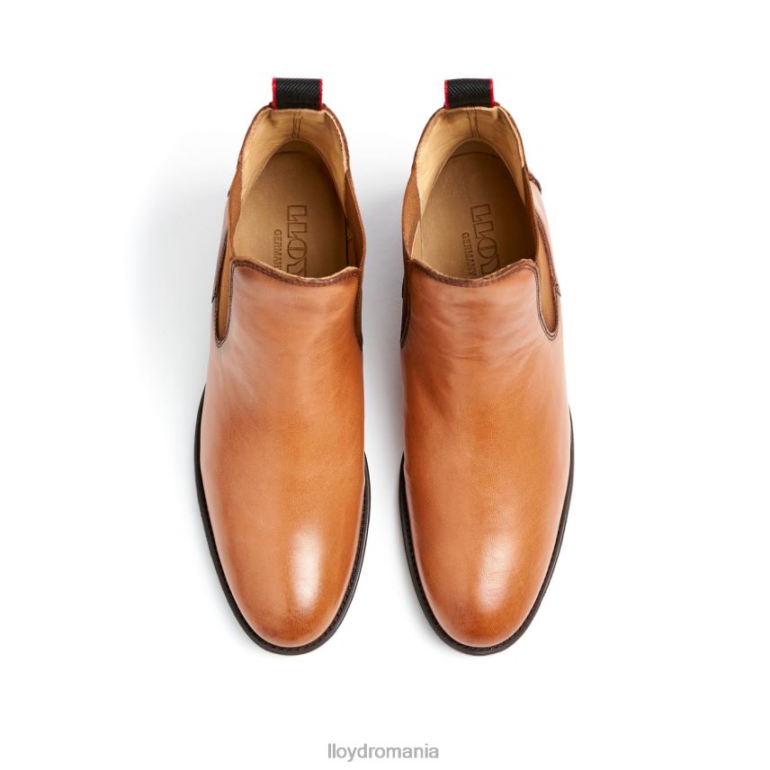 pantofi LLOYD botine din piele maro femei 68260929