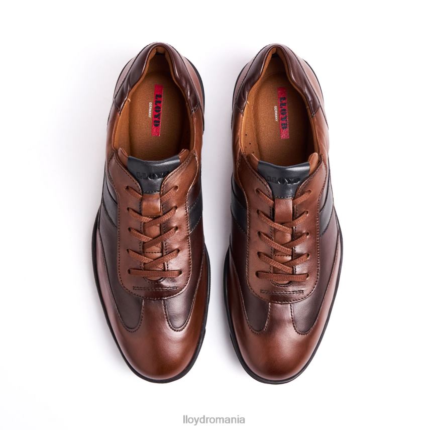 pantofi LLOYD brevis maro bărbați 68260418