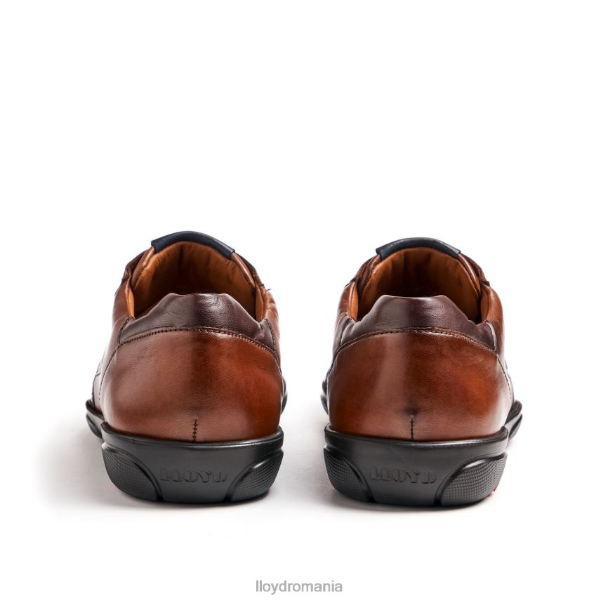 pantofi LLOYD brevis maro bărbați 68260418
