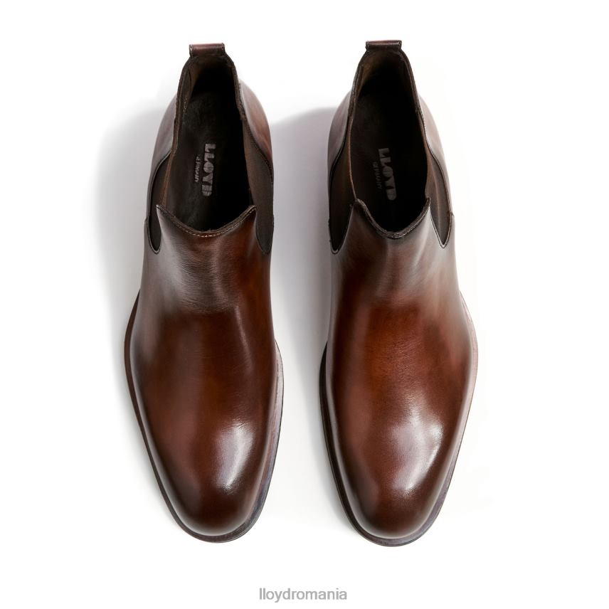 pantofi LLOYD cercetaș maro bărbați 68260239