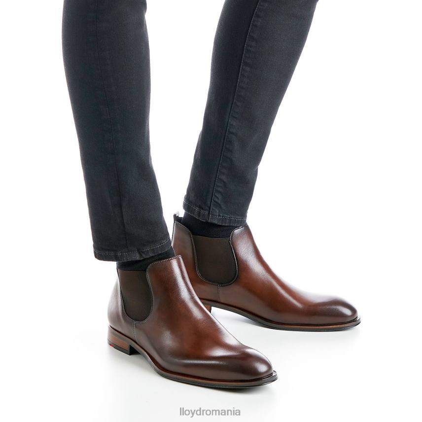 pantofi LLOYD cercetaș maro bărbați 68260239