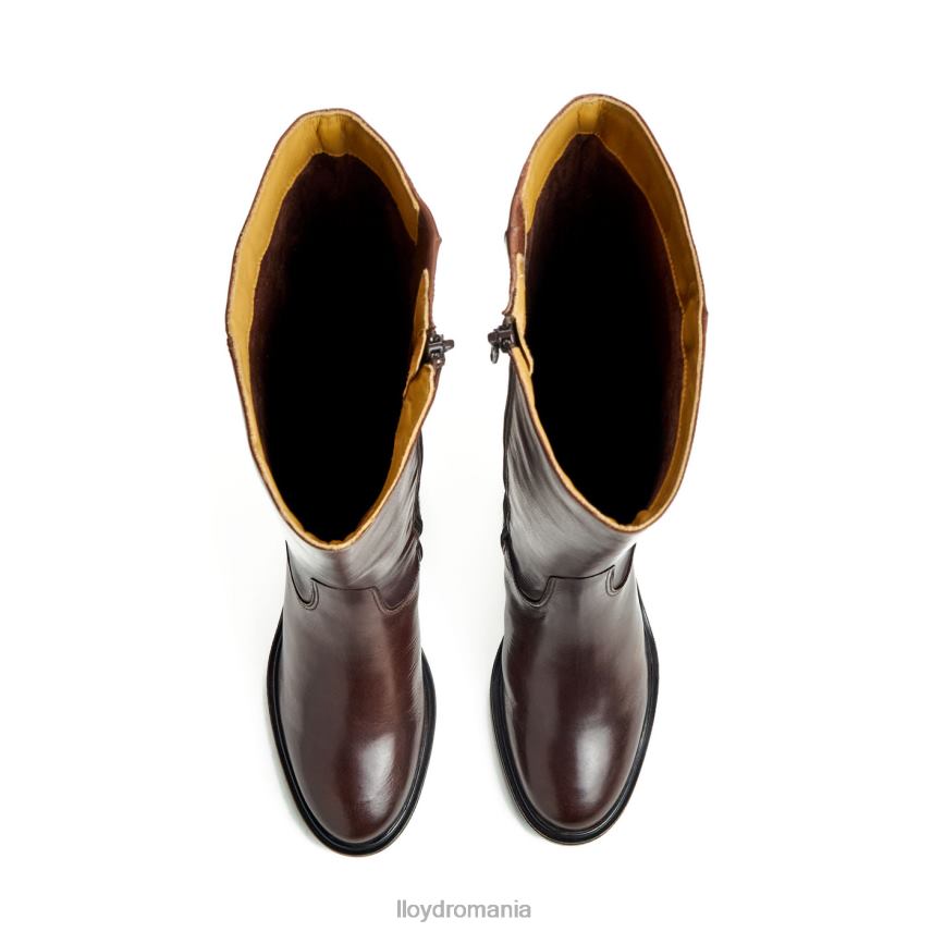 pantofi LLOYD cizme maro femei 682601191