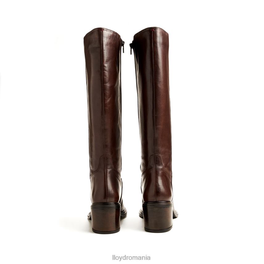 pantofi LLOYD cizme maro femei 682601191