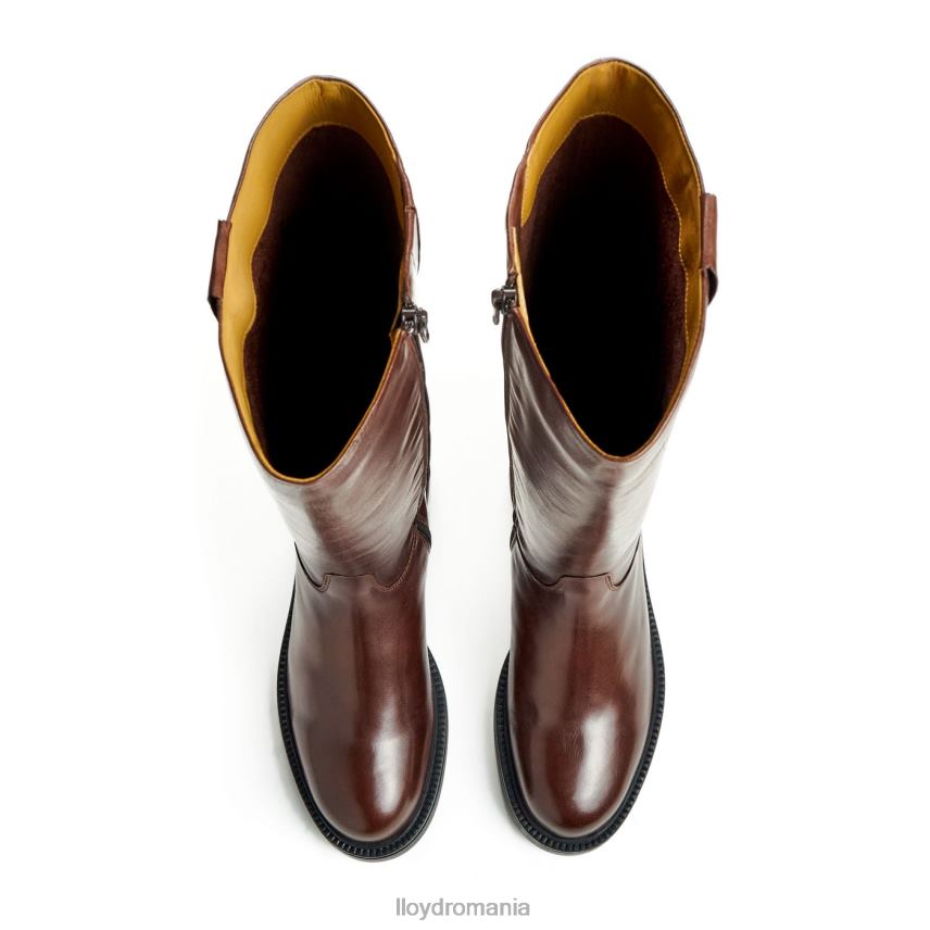 pantofi LLOYD cizme maro femei 682601193