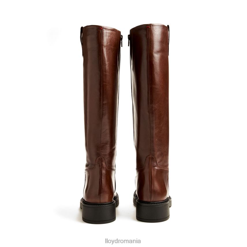 pantofi LLOYD cizme maro femei 682601193