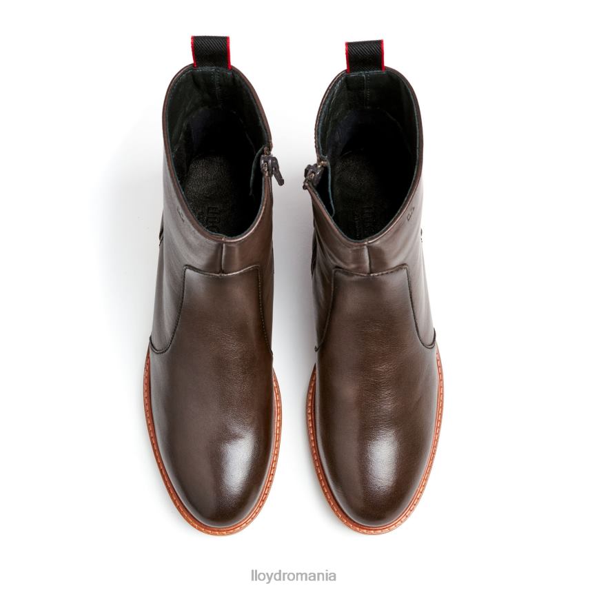 pantofi LLOYD cizmă sport din piele netedă maro femei 68260902