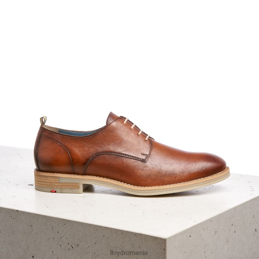 pantofi LLOYD dakota maro bărbați 68260608