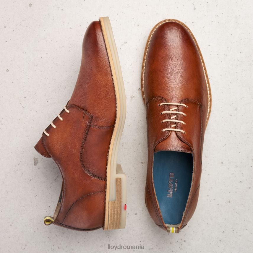 pantofi LLOYD dakota maro bărbați 68260608