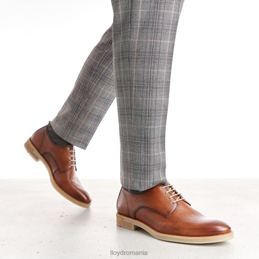 pantofi LLOYD dakota maro bărbați 68260608
