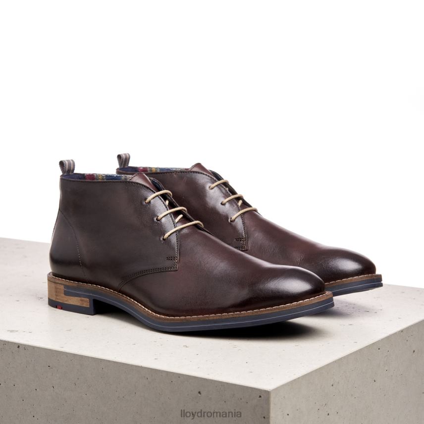 pantofi LLOYD daniel maro bărbați 68260168