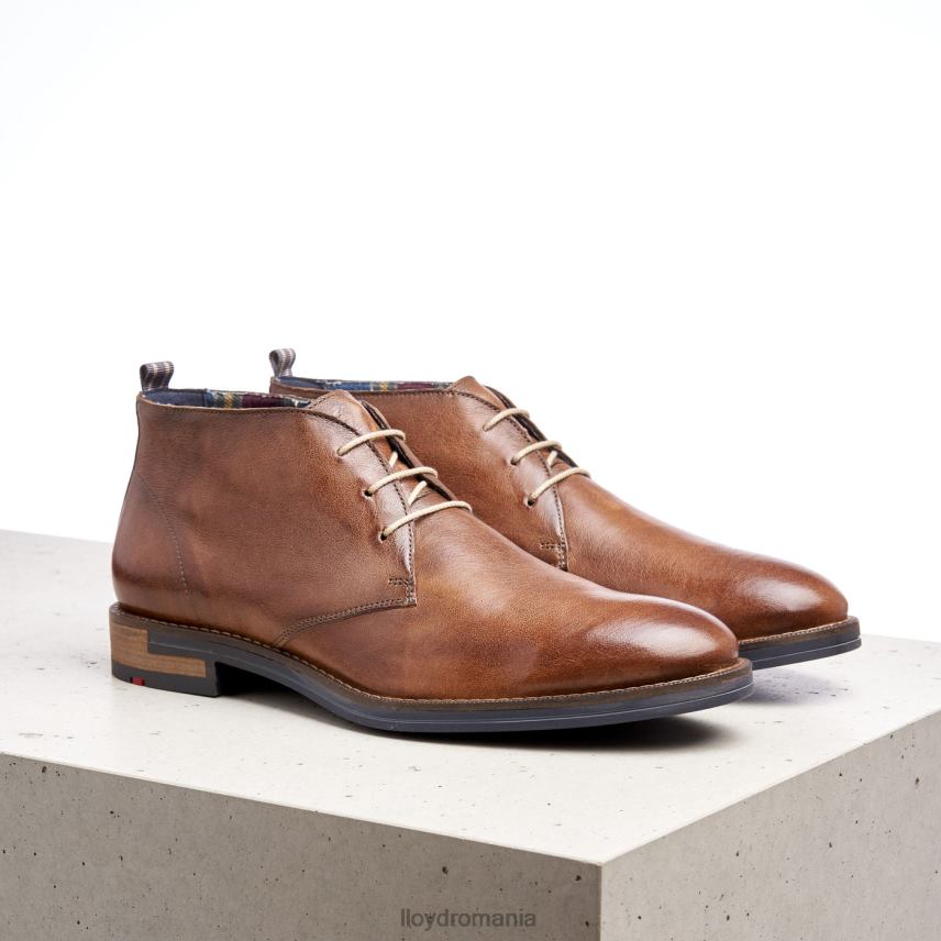 pantofi LLOYD daniel maro bărbați 68260549