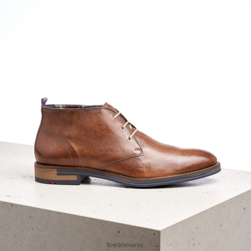 pantofi LLOYD daniel maro bărbați 68260549