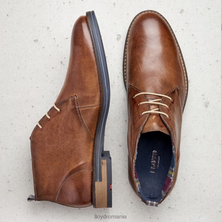 pantofi LLOYD daniel maro bărbați 68260549