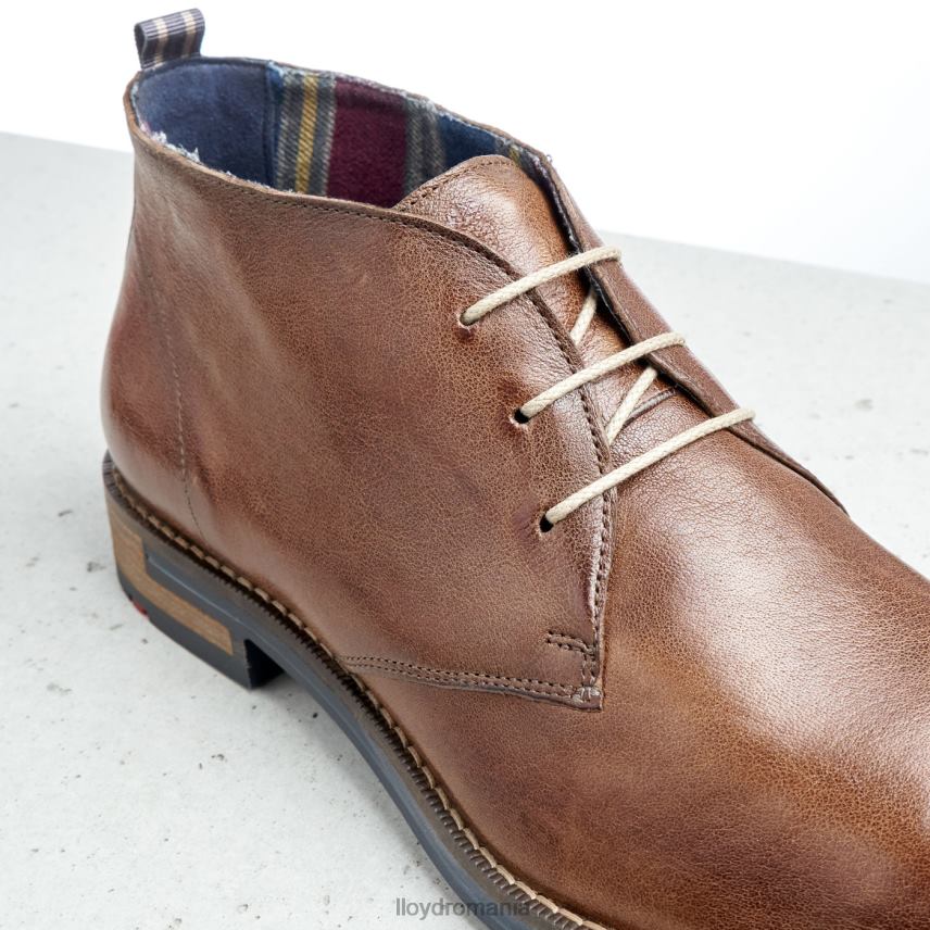 pantofi LLOYD daniel maro bărbați 68260549