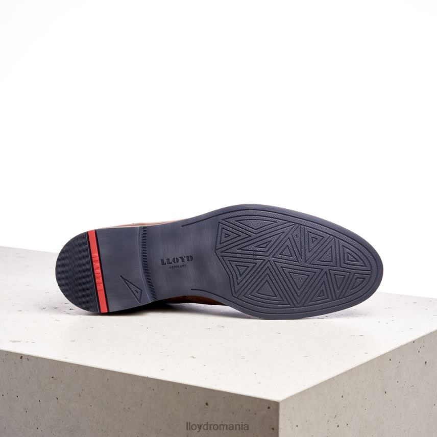 pantofi LLOYD daniel maro bărbați 68260549