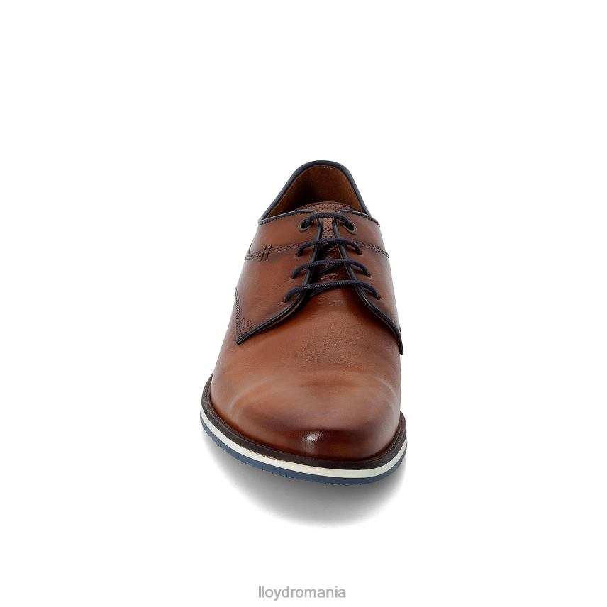pantofi LLOYD danjaan maro bărbați 68260609