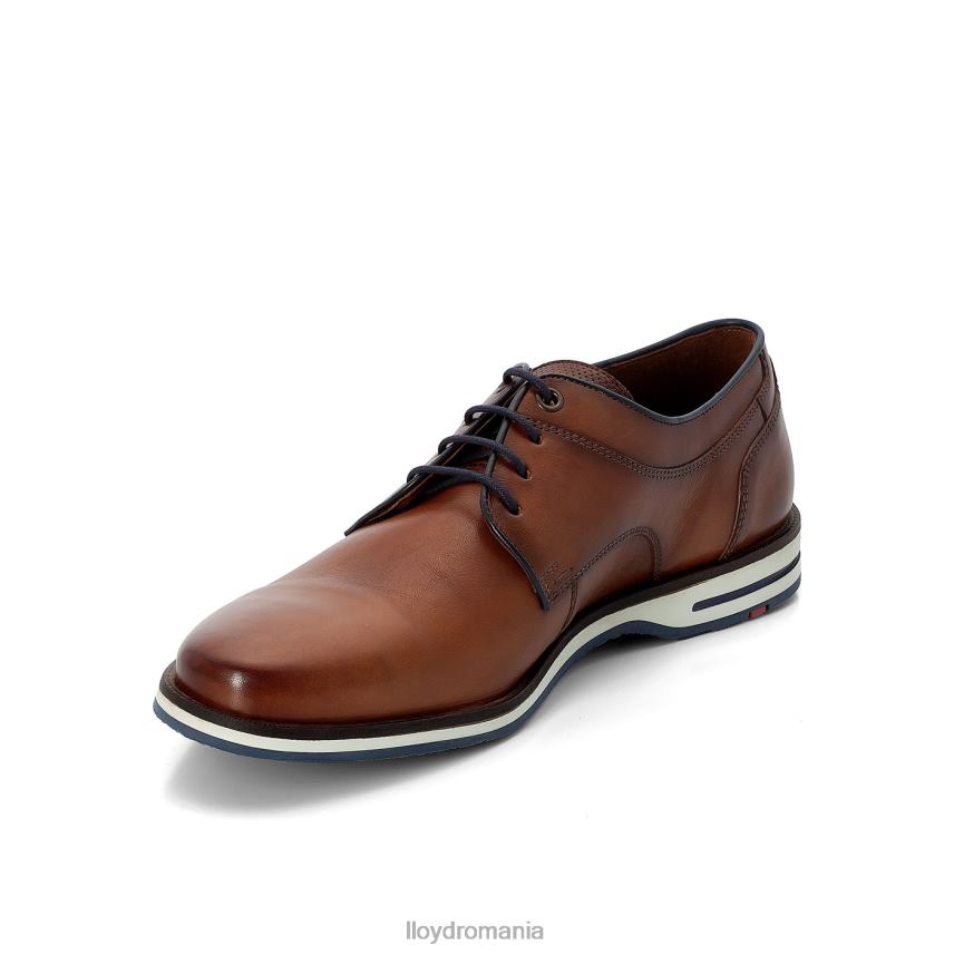 pantofi LLOYD danjaan maro bărbați 68260609