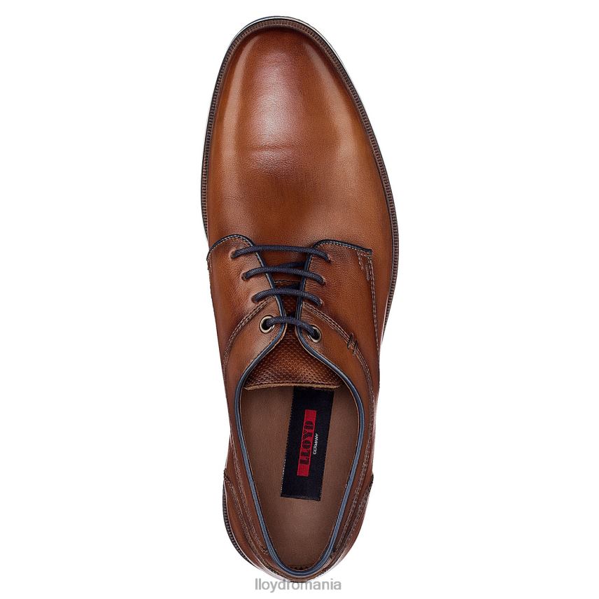 pantofi LLOYD danjaan maro bărbați 68260609