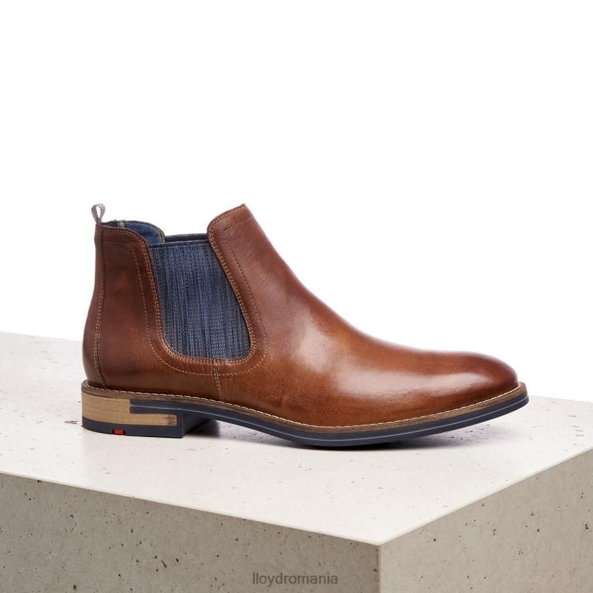 pantofi LLOYD dario maro bărbați 682601343