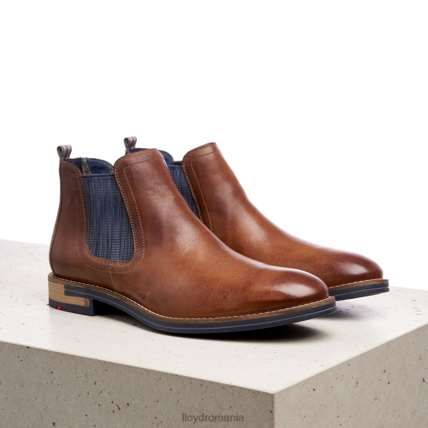 pantofi LLOYD dario maro bărbați 682601343