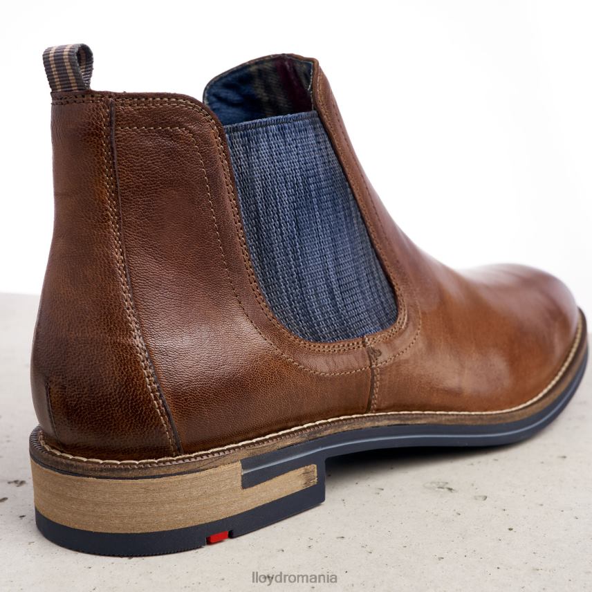 pantofi LLOYD dario maro bărbați 682601343