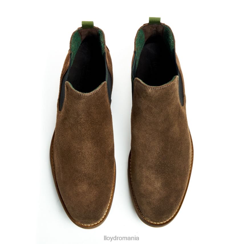 pantofi LLOYD darry maro bărbați 68260457