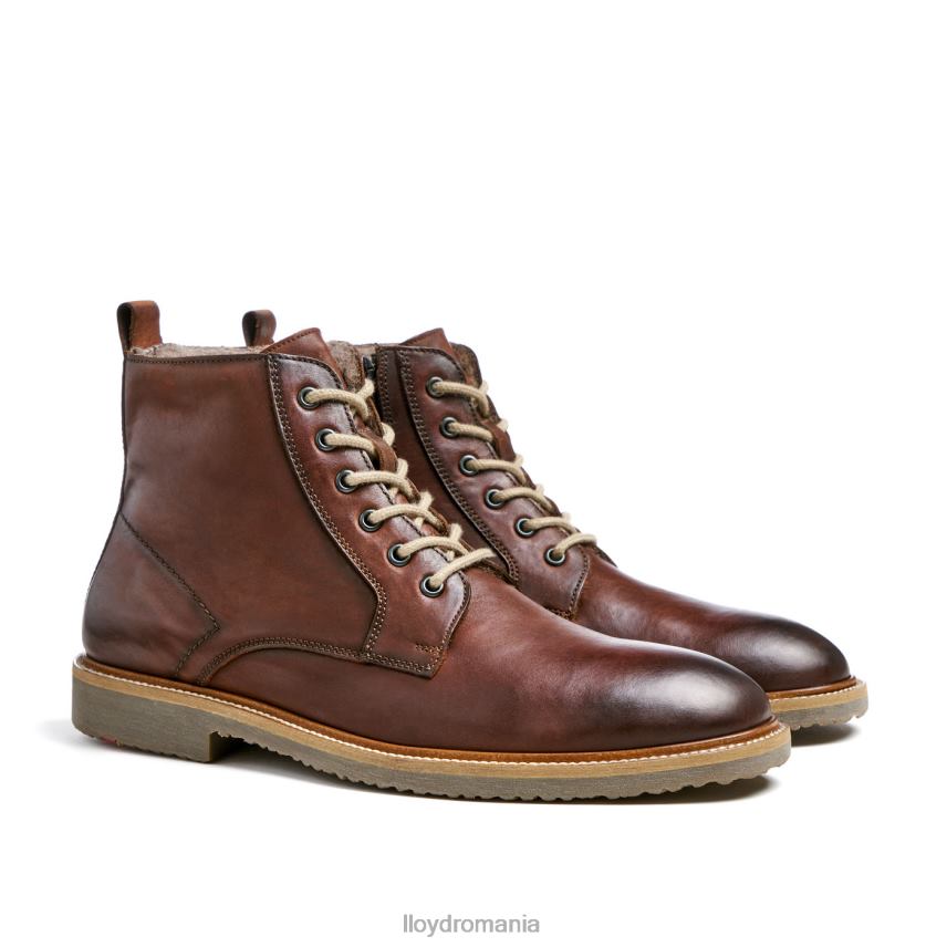 pantofi LLOYD darwin maro bărbați 68260475