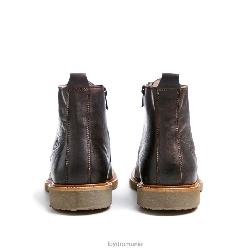 pantofi LLOYD darwin maro bărbați 68260476