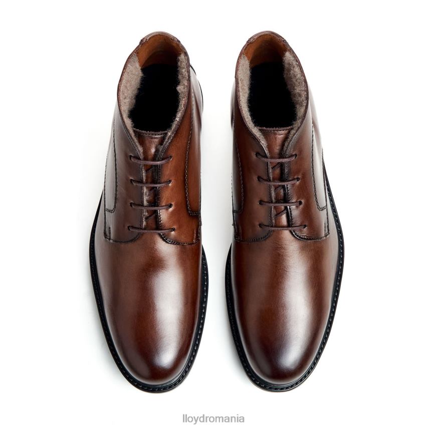 pantofi LLOYD delaware maro bărbați 68260461