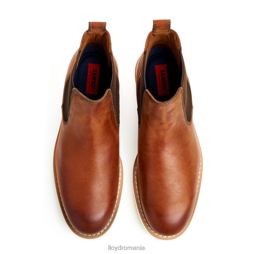 pantofi LLOYD denton maro bărbați 68260477