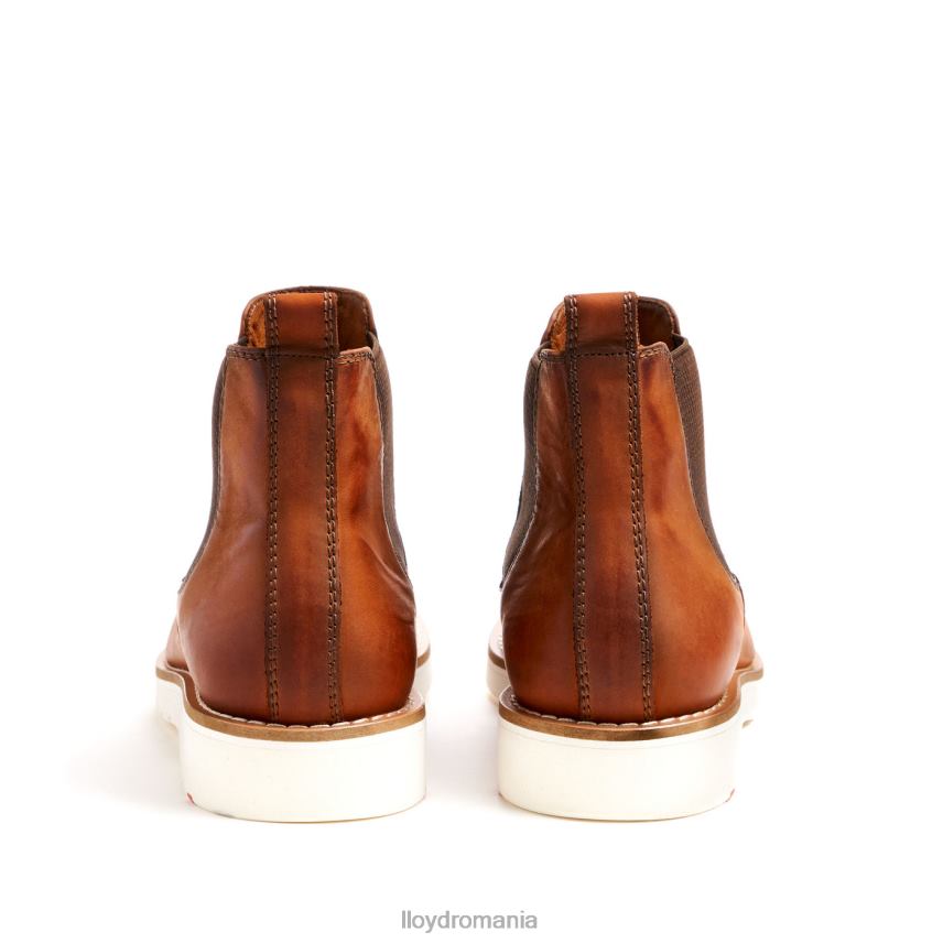 pantofi LLOYD denton maro bărbați 68260477