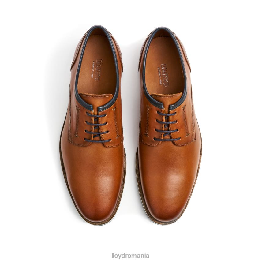 pantofi LLOYD detroit maro bărbați 68260113