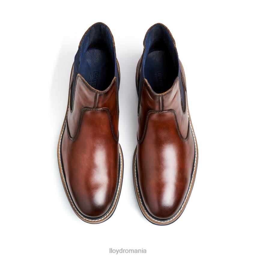 pantofi LLOYD dexter maro bărbați 68260469