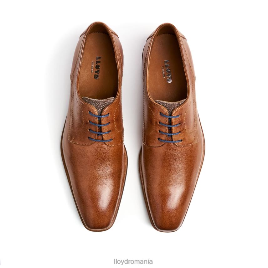 pantofi LLOYD don maro bărbați 68260109