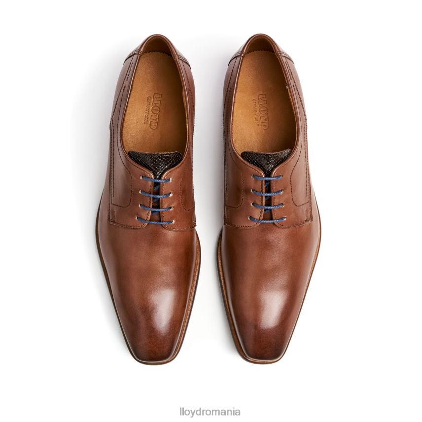 pantofi LLOYD don maro bărbați 68260112